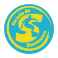 Escuela de Surfskate